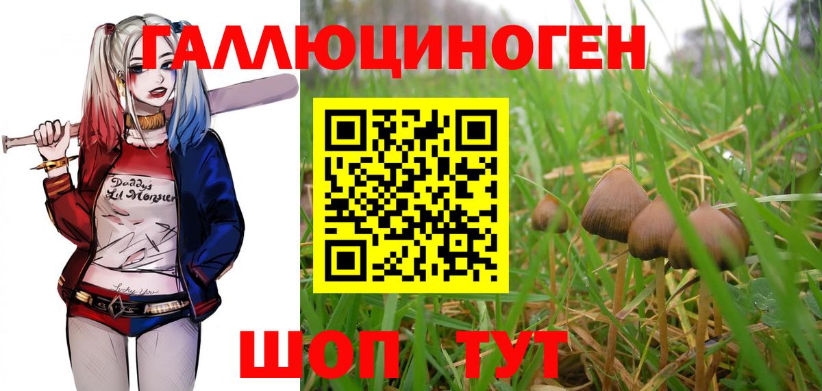 даркнет сайт  Вход с VPN  Славгород  Галлюциногенные грибы ЛСД 