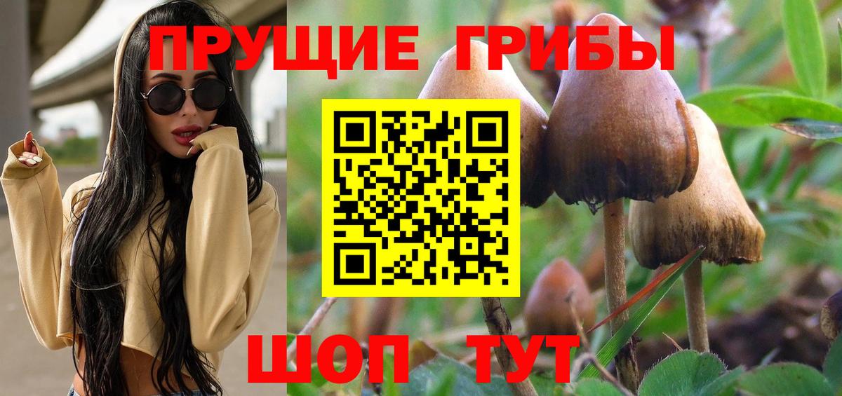 Галлюциногенные грибы MAGIC MUSHROOMS Славгород