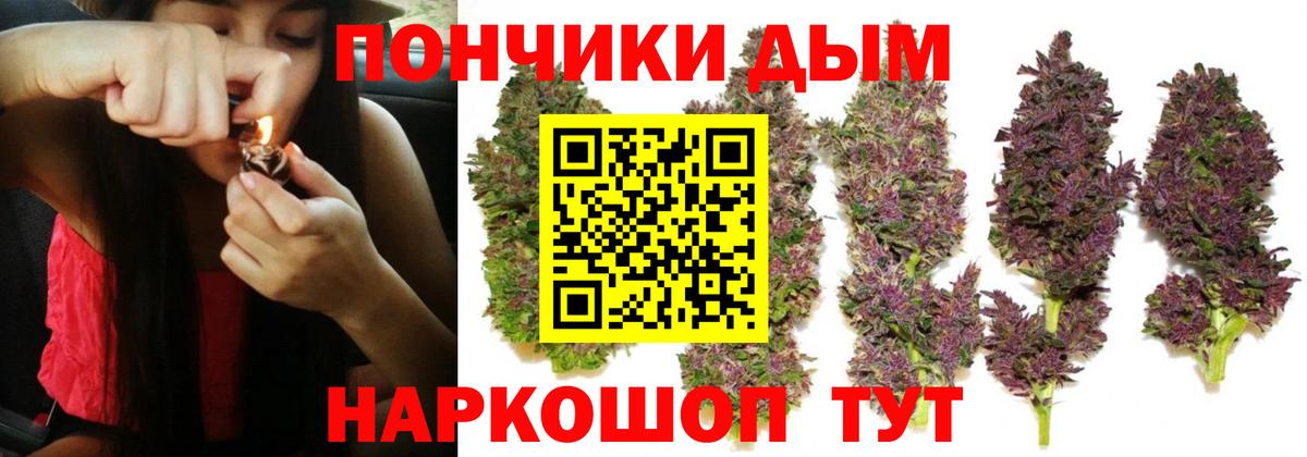 Каннабис планчик Славгород